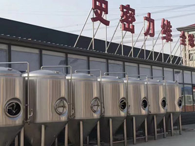 金阳精酿啤酒设备厂—如何判断精酿啤酒设备的密封件需要更换？